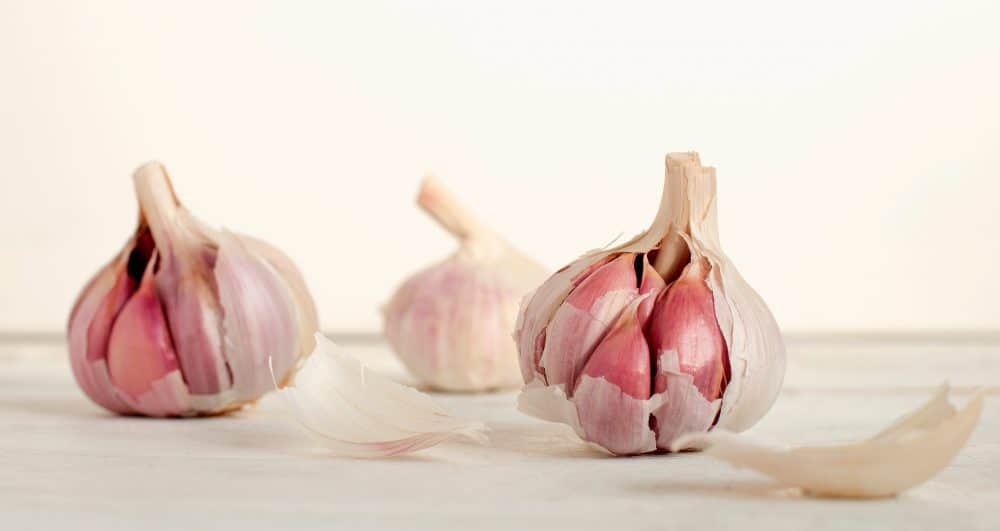 Dried garlic cloves with red peel